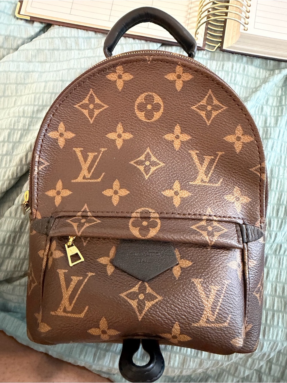 Louis Vuitton Monogram Mini Backpack in Brown and Tan